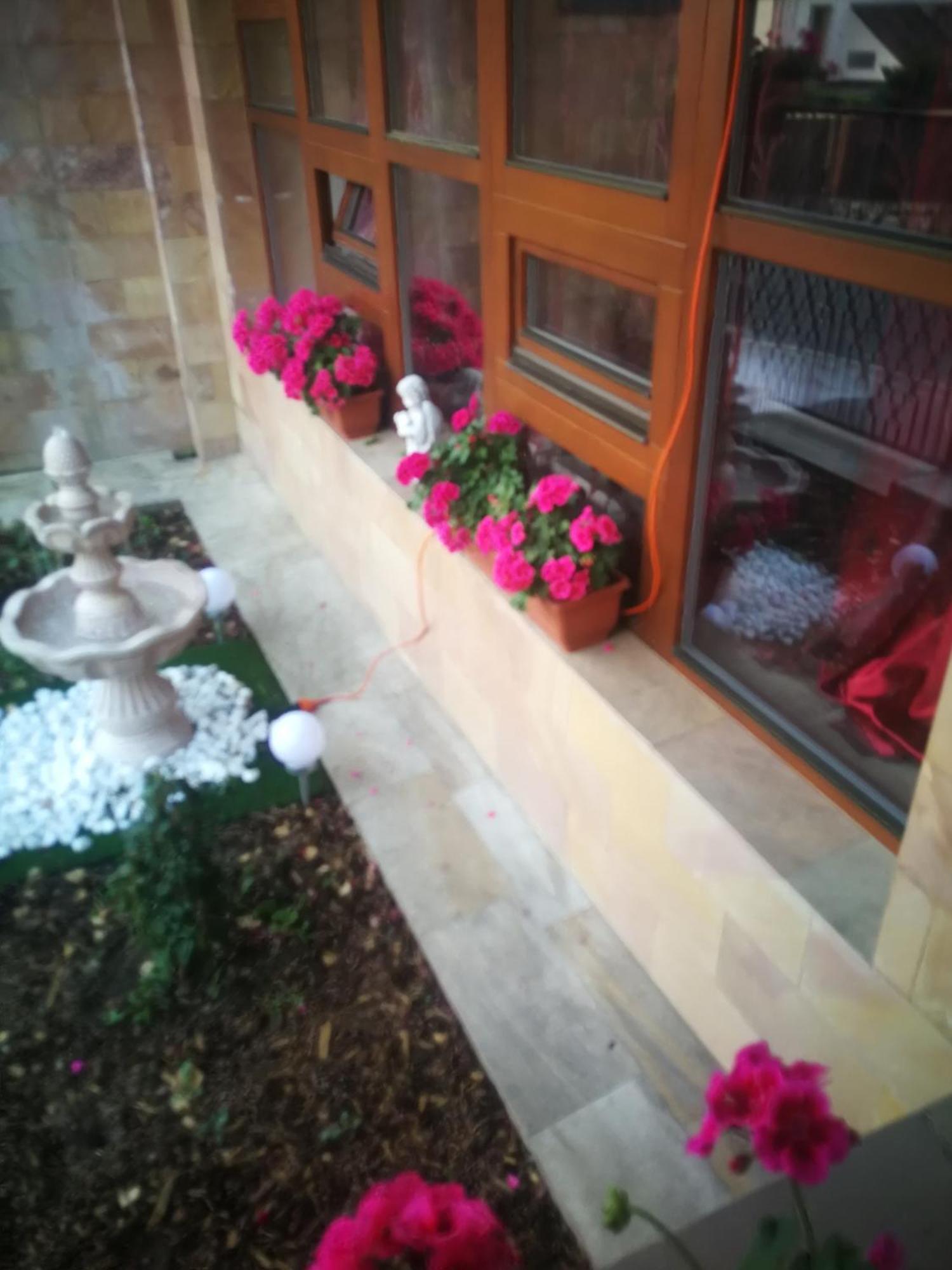 Villa Barrandov Pokoj 3 Praha Bagian luar foto
